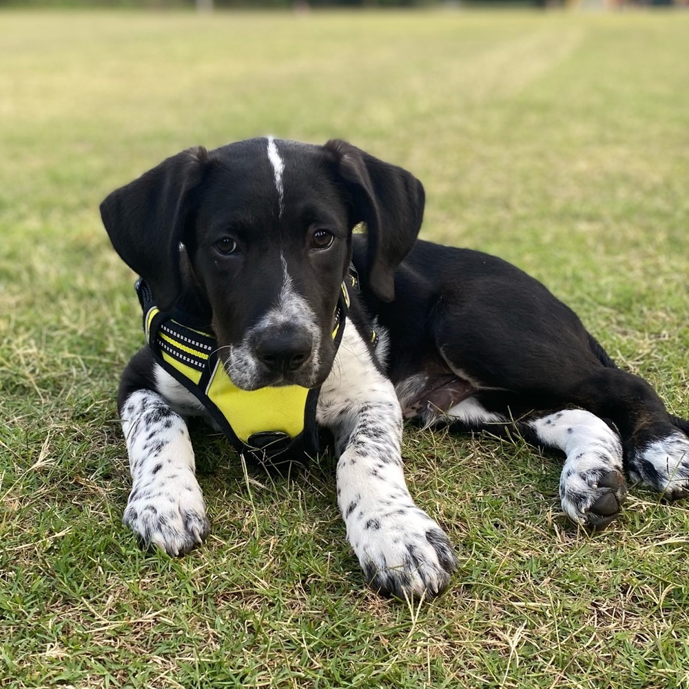 Hey there🤠! - Picture 3 of 5